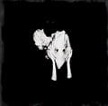  [Blu-spec CD]