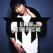 EXILE TRIBE PERFECT MIX (2枚組 ディスク2)