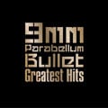 Greatest Hits (2枚組 ディスク2)