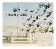 CD󥰥SKY