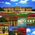 ΤäƤ륯饷å6 ΤäƤ⡼ĥȡMOZART