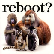 【CDシングル】reboot〜あきらめない詩〜/流れ星