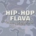 Hip-Hop Flava-All Around the Hip-Hop World BMG Tracks