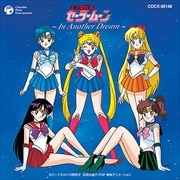 美少女戦士セーラームーン〜In Another Dream〜