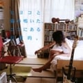ヒヨコと猫の鳴いた、ココにある日常的。