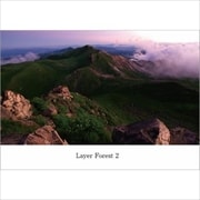 Layer Forest 2 (2枚組 ディスク2)