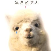 泣きピアノ