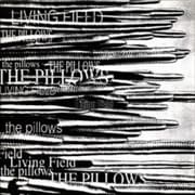 LIVING FIELD