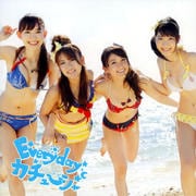 CD󥰥Everyday塼Type-B