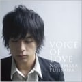 VOICE OF LOVE 〜愛の力〜