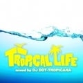 TROPICAL LIFE mixed DJ DDT-TROPICANA