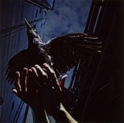 【CDシングル】Cold Edge e.p.