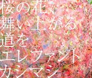【CDシングル】桜の花、舞い上がる道を