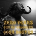 ZERO YEARS〜CUT UP GROOVIES〜