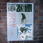 20th ANNIVERSARY BEST III ADULT 2008-2013 [SHM-CD]