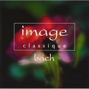image classiqueХå (2 ǥ2)