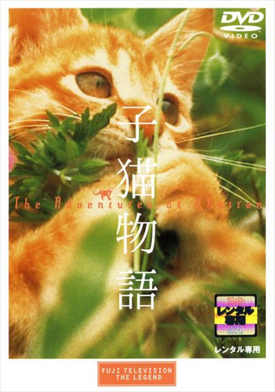 子猫物語 小泉今日子 Dvdレンタル ぽすれん 子猫物語 小泉今日子 Dvdレンタル ぽすれん