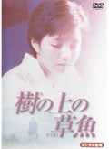 ξ