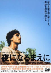 夜になるまえに