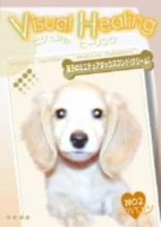 Visual Healing 2 лҤΥߥ˥奢åեɡʥ꡼