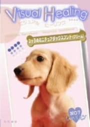 Visual Healing 11 3ッ子のミニチュアダックスフンド(クリーム)
