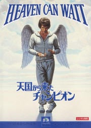 天国から来たチャンピオン