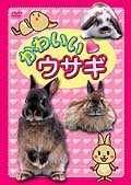 かわいい ウサギ