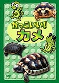 かっこいい!カメ