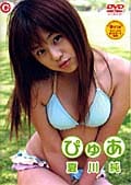 㡿Ԥ夢