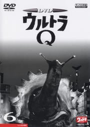 DVD ȥQ VOL.6