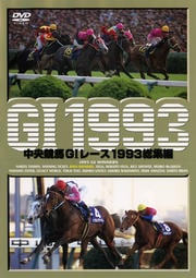 GI졼 1993