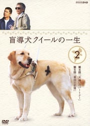 盲導犬クイールの一生 2