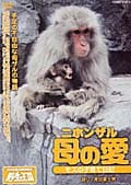 ニホンザル 母の愛