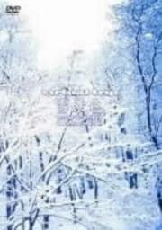 virtual trip ʿ snow scenery