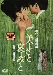 美しさと哀しみと