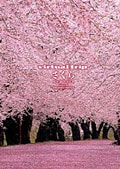 virtual trip さくら −reprise−