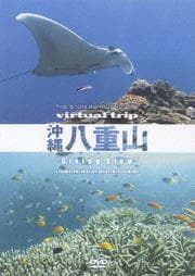 virtual trip 沖縄八重山 Diving View