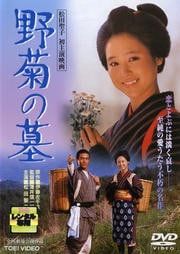 野菊の墓 (松田聖子主演)