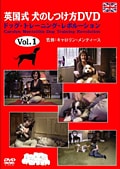 ѹ ΤĤDVD Vol.1