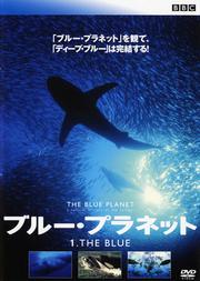 ֥롼ץͥå 1 THE BLUE