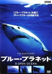 ブルー・プラネット 3 OPEN OCEAN