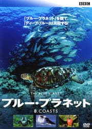 ブルー・プラネット 8 COASTS