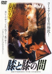 膝と膝の間