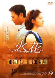 火花 14