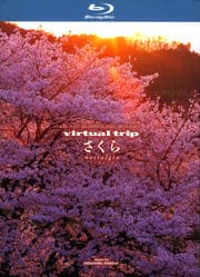 virtual trip  nostalgia HD DVDĥեޥåǡ