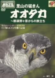 里山の猛きん オオタカ 〜那須野ヶ原からの旅立ち