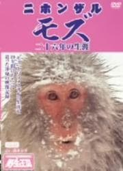 ˥ۥ󥶥 ⥺ ϻǯ