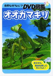 自然なぜなに? DVD図鑑 オオカマキリ