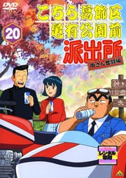 赵ͭɽн ξʳƮ 20