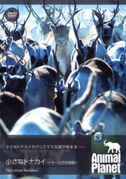 アニマル・プラネット 小さなトナカイ 〜オーロラの奇跡〜